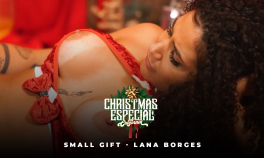 Christmas gift - Lana Borges